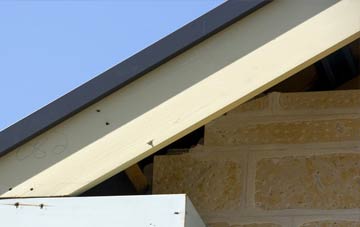 Barmer fascia repairs
