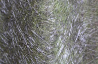 Barmer fibreglass roof work