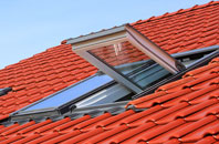 Barmer roof window